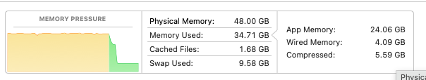 macOS Activity Monitor showing 48 GB physical memory with around 35 GB used and green memory pressure